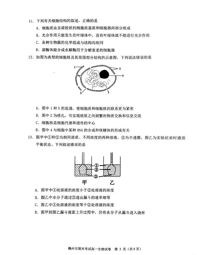 2023赣州度第一学期期末考试高一生物试题PDF版含答案03