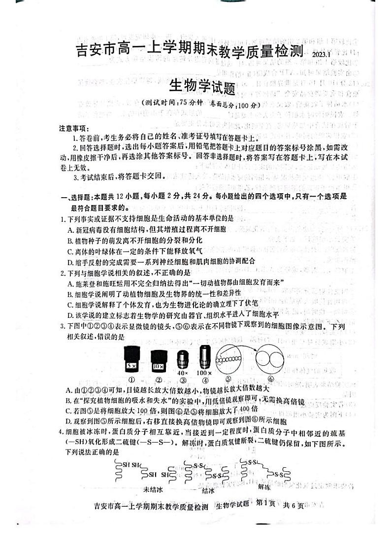 江西省吉安市2022-2023学年高一上学期期末生物试卷PDF版无答案第1页
