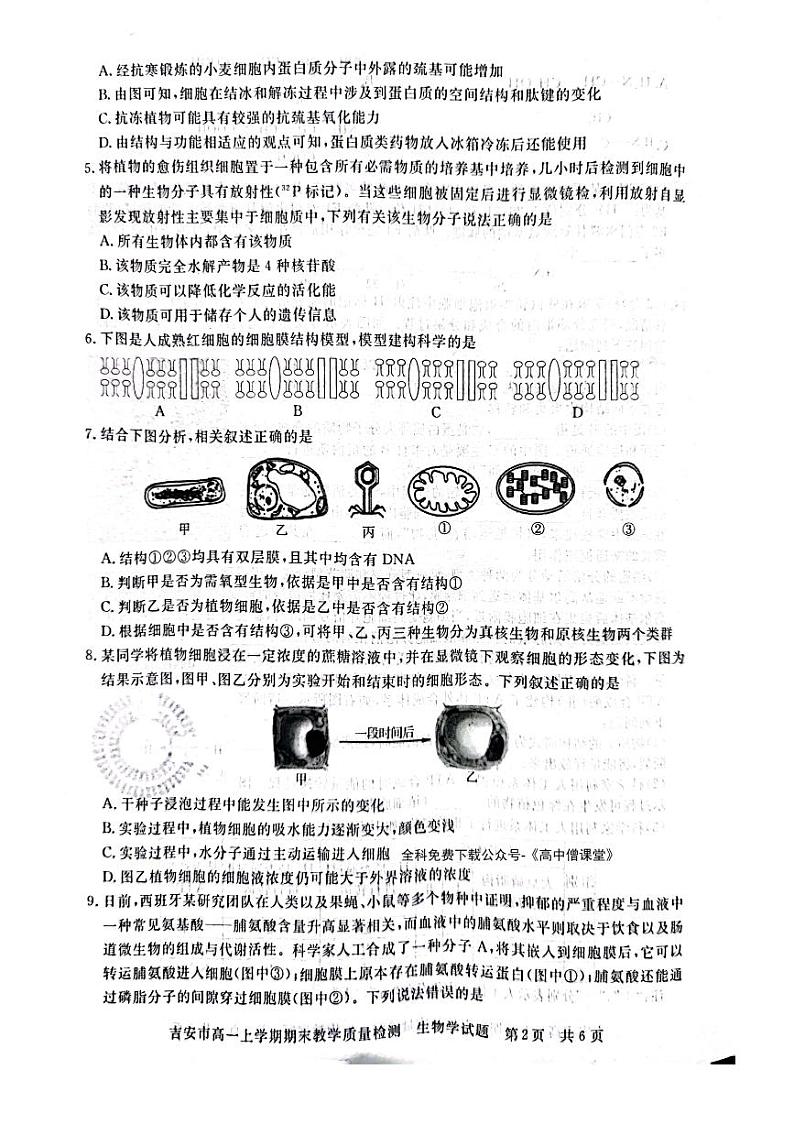 江西省吉安市2022-2023学年高一上学期期末生物试卷PDF版无答案第2页