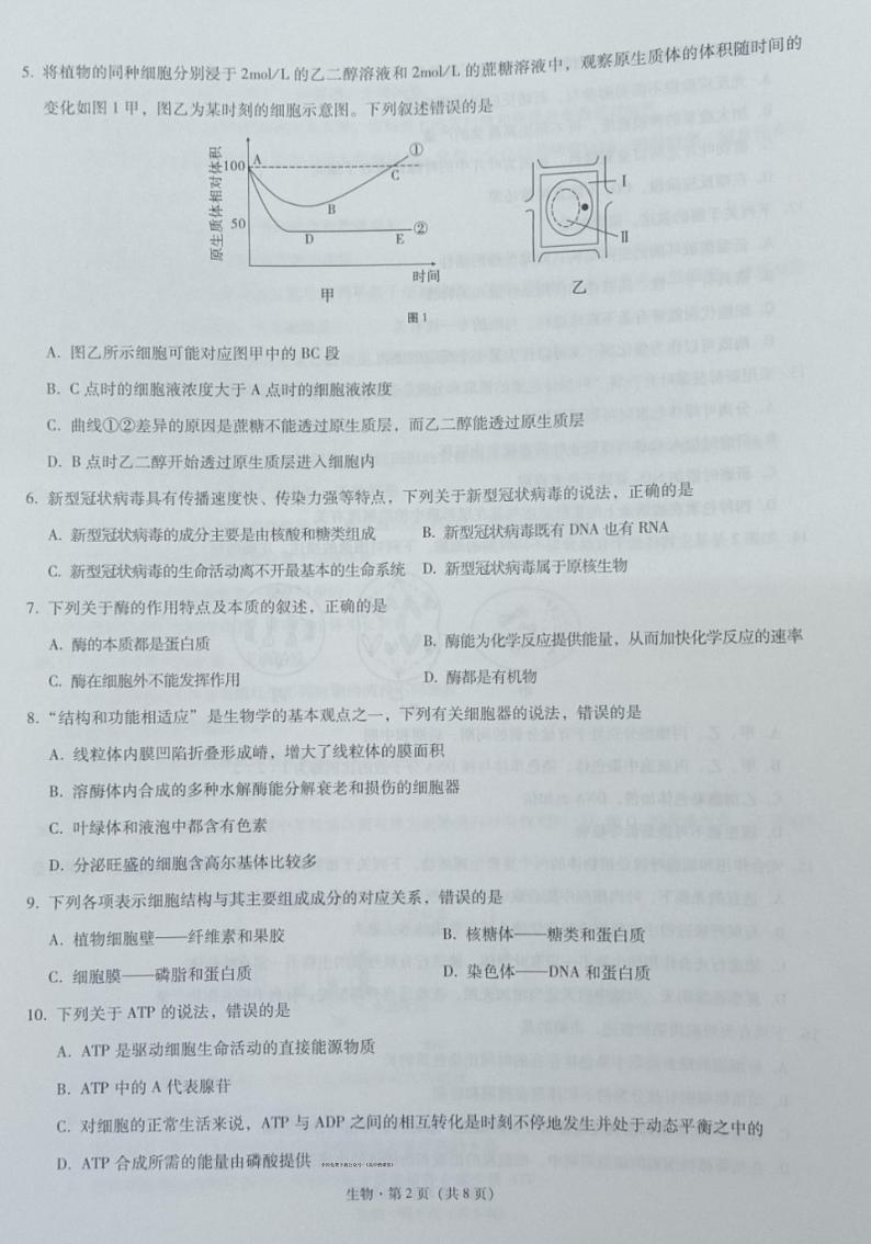 山市文山州2022-2023学年秋季学期期末监测考试高一生物试题第2页