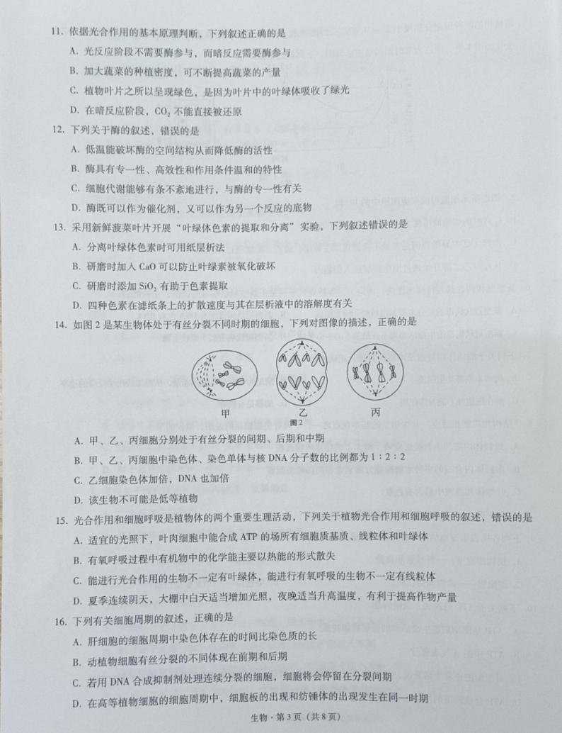 山市文山州2022-2023学年秋季学期期末监测考试高一生物试题第3页