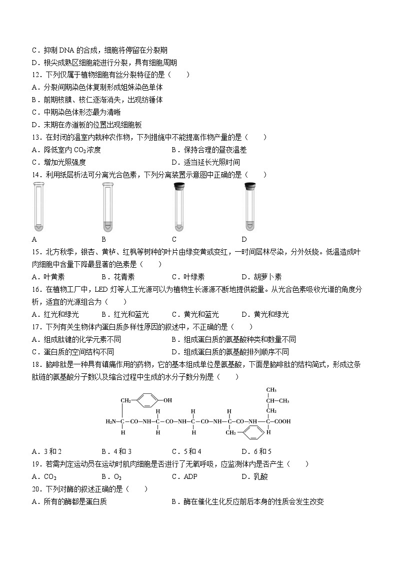 2023成都七中高一上学期期末考试生物含答案第2页