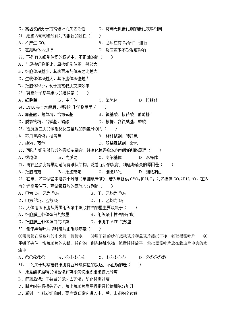 2023成都七中高一上学期期末考试生物含答案第3页