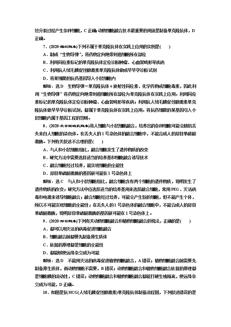 人教版（2019）高中生物选择性必修三第2章第2节第2课时动物细胞融合技术与单克隆抗体课时作业含答案第3页