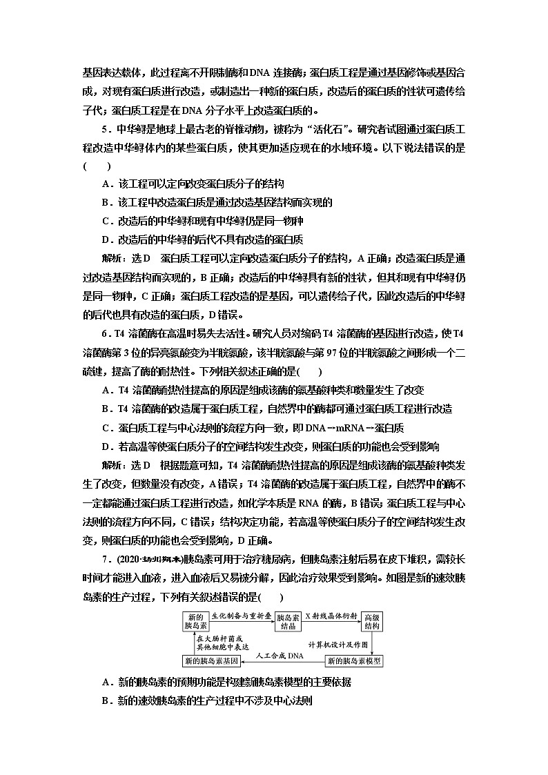 人教版（2019）高中生物选择性必修三第3章第4节蛋白质工程的原理和应用课时作业含答案第2页