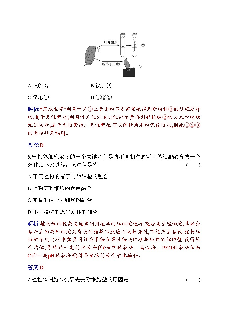 人教版高中生物选择性必修3植物细胞工程的基本技术作业含答案第3页