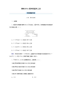 人教版 (2019)选择性必修3第1节 重组DNA技术的基本工具课后作业题