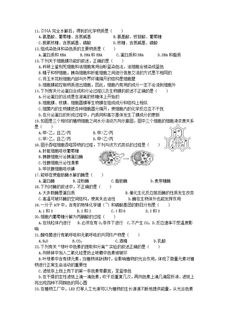 2023长沙同升湖高级中学高一上学期期末生物试题含答案02
