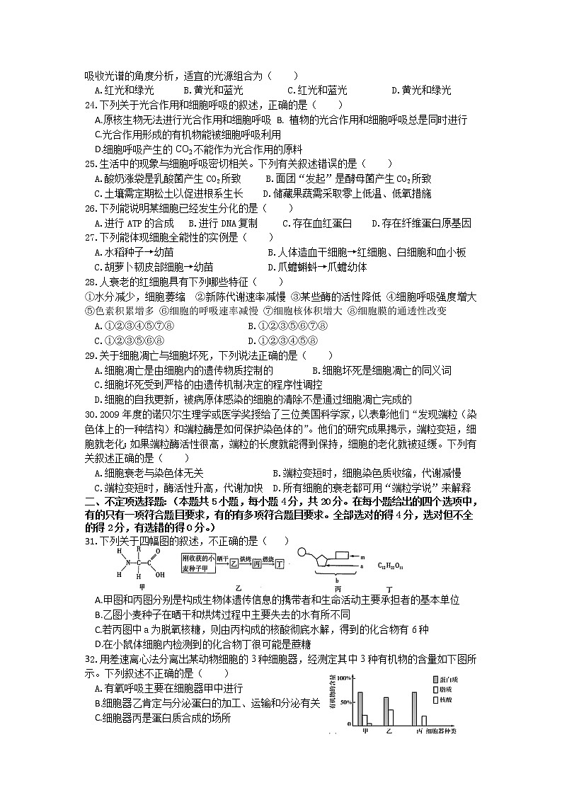 2023长沙同升湖高级中学高一上学期期末生物试题含答案03