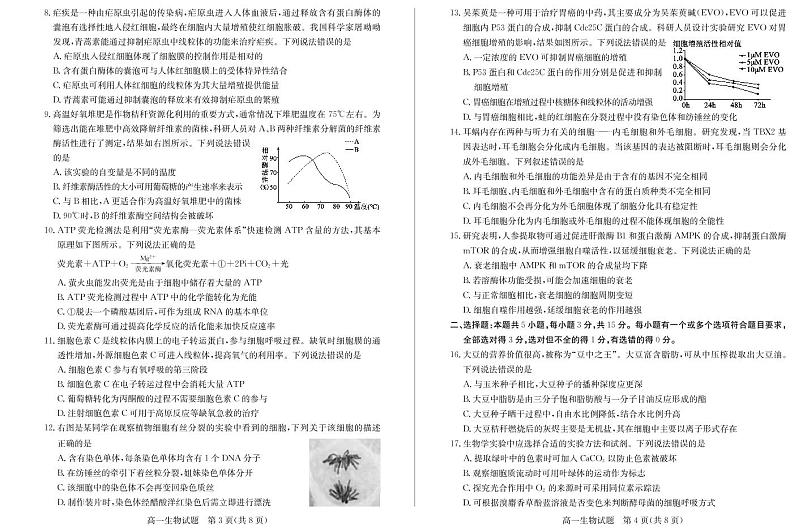 2023德州高一上学期期末考试（2月延考）生物PDF版含答案02
