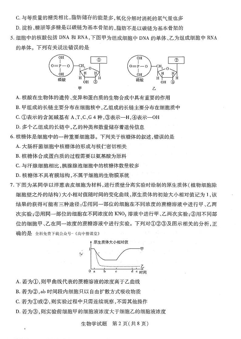 河南省安阳市重点高中2022-2023学年高一下学期开学检测生物试题PDF版无答案第2页
