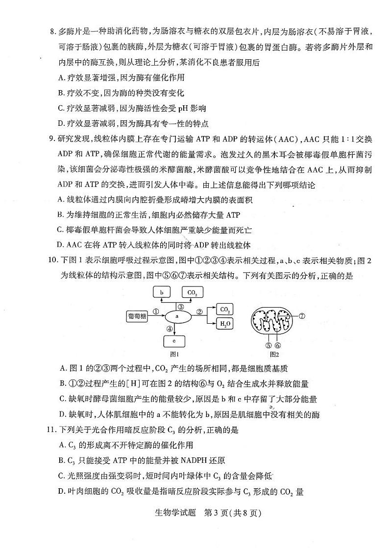 河南省安阳市重点高中2022-2023学年高一下学期开学检测生物试题PDF版无答案第3页