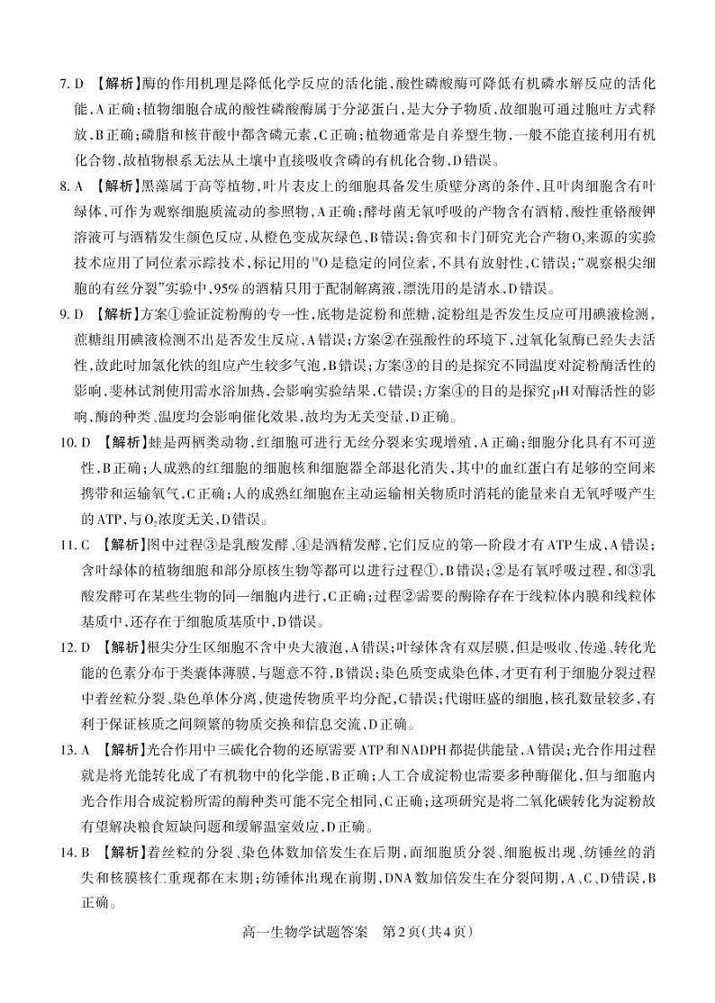 2023山西省高一年级上学期期末新课程与诊断生物试题含答案02