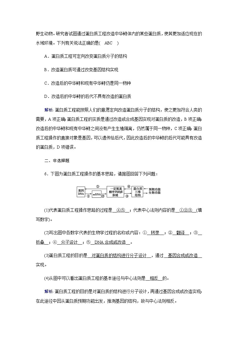 人教版高中生物选择性必修三基因工程的延伸——蛋白质工程作业含答案第3页