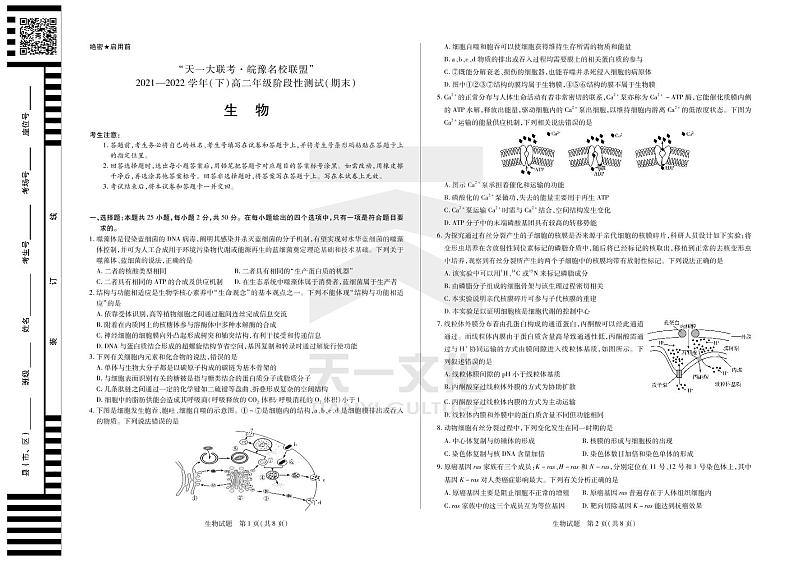 2021-2022学年河南省“天一大联考皖豫名校联盟”高二下学期期末测试生物试题（PDF版 ）01