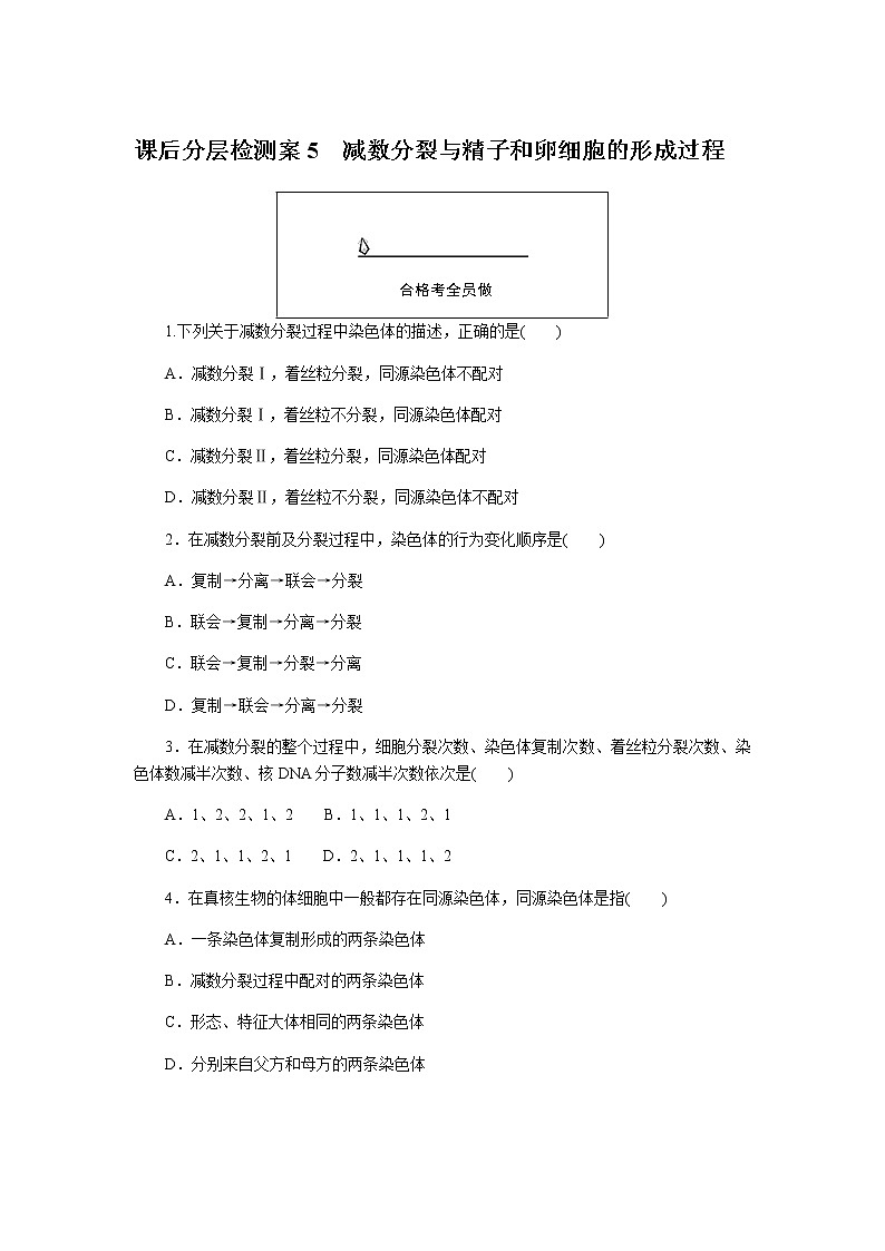 人教版高中生物必修二减数分裂与精子和卵细胞的形成过程作业含答案01