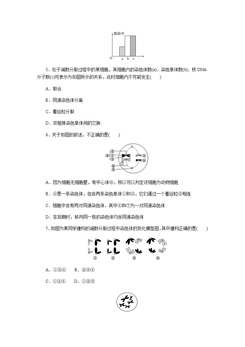 人教版高中生物必修二减数分裂与精子和卵细胞的形成过程作业含答案02
