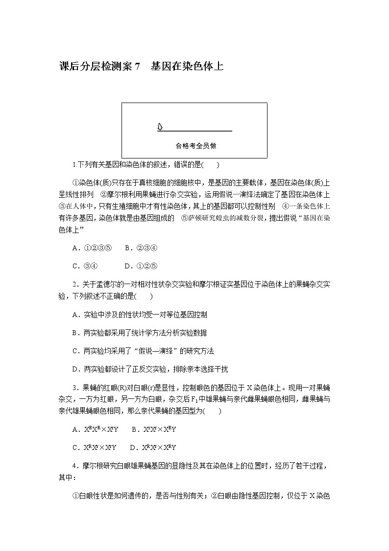 人教版高中生物必修二基因在染色体上作业含答案101