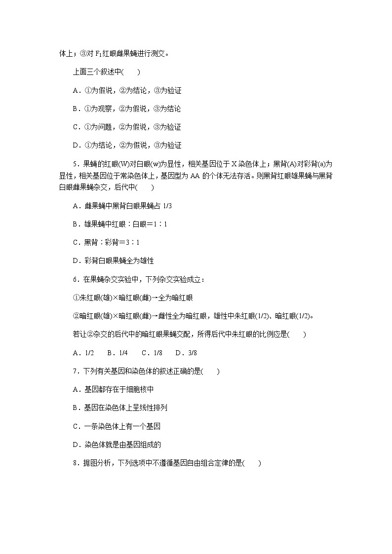 人教版高中生物必修二基因在染色体上作业含答案102