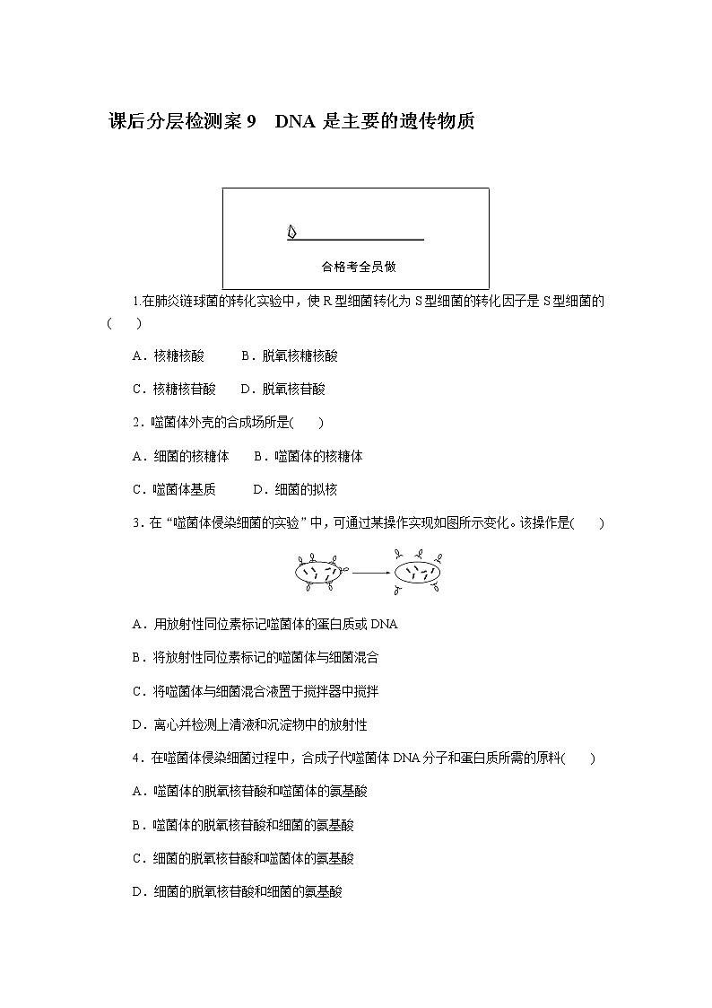 人教版高中生物必修二DNA是主要的遗传物质作业含答案1第1页