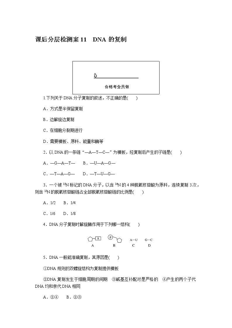 人教版高中生物必修二DNA的复制作业含答案4第1页