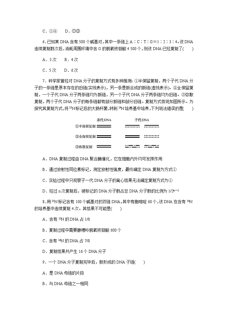 人教版高中生物必修二DNA的复制作业含答案4第2页