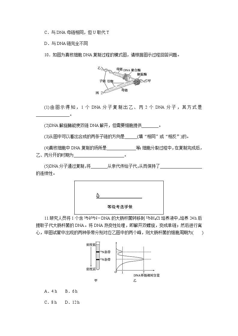 人教版高中生物必修二DNA的复制作业含答案4第3页