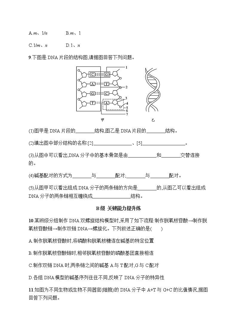 人教版高中生物必修二DNA的结构作业含答案1第3页