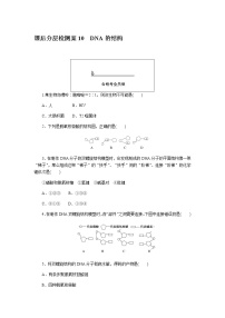 生物必修2《遗传与进化》第2节 DNA的结构精练
