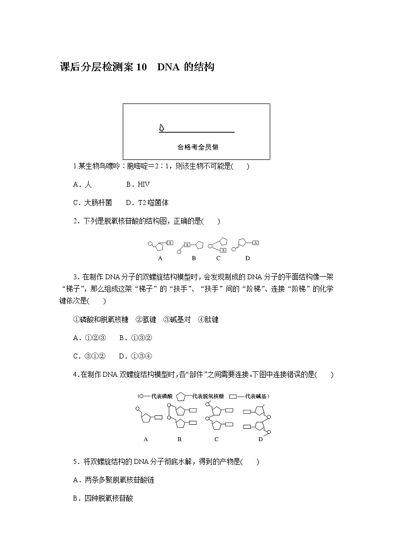 人教版高中生物必修二DNA的结构作业含答案3第1页