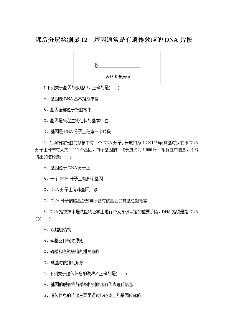 人教版高中生物必修二基因通常是有遗传效应的DNA片段作业含答案1第1页
