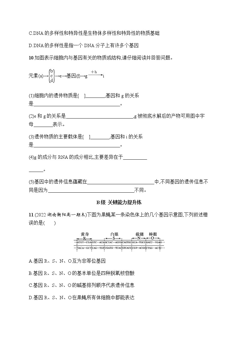 人教版高中生物必修二基因通常是有遗传效应的DNA片段作业含答案2第3页