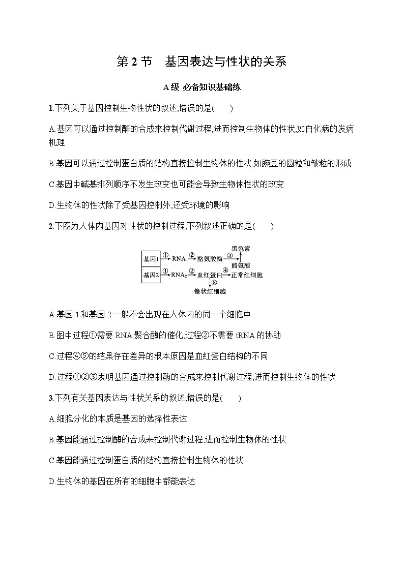 人教版高中生物必修二基因表达与性状的关系作业含答案201