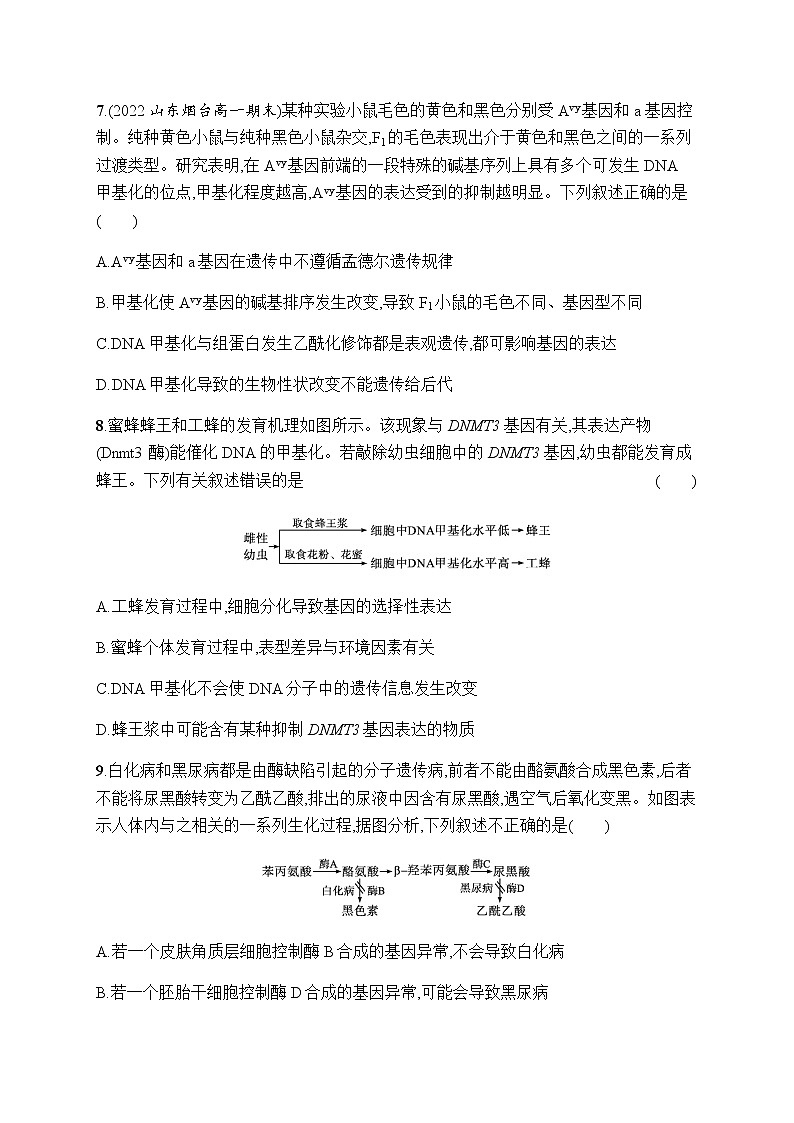 人教版高中生物必修二基因表达与性状的关系作业含答案203