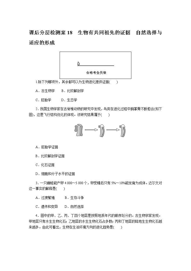 人教版高中生物必修二生物有共同祖先的证据自然选择与适应的形成作业含答案301