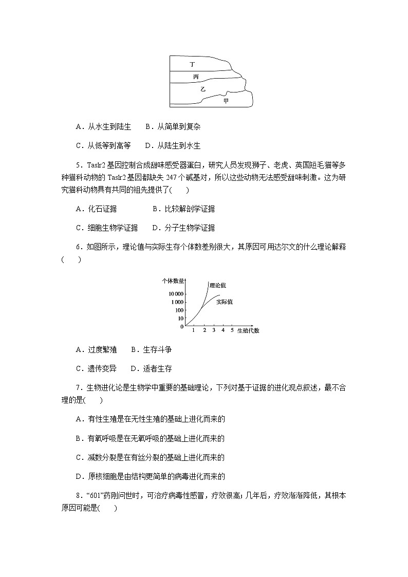 人教版高中生物必修二生物有共同祖先的证据自然选择与适应的形成作业含答案302