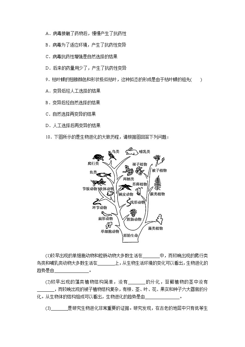 人教版高中生物必修二生物有共同祖先的证据自然选择与适应的形成作业含答案303