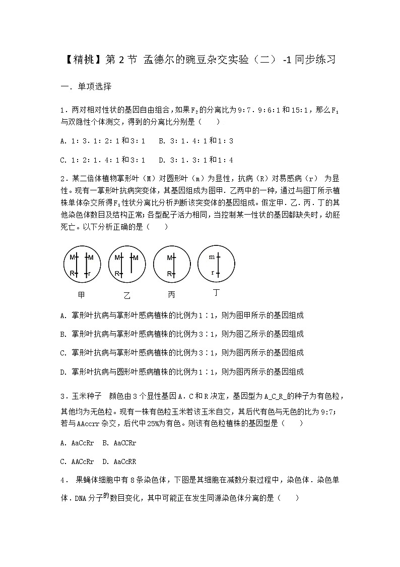 人教版高中生物必修2第2节孟德尔的豌豆杂交实验（二）同步作业含答案201