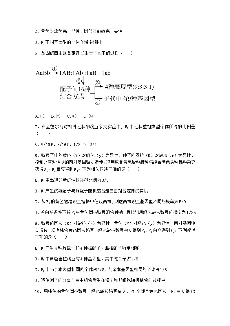 人教版高中生物必修2第2节孟德尔的豌豆杂交实验（二）同步作业含答案3第2页