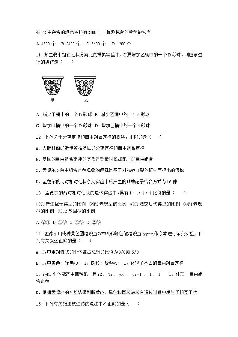 人教版高中生物必修2第2节孟德尔的豌豆杂交实验（二）同步作业含答案3第3页