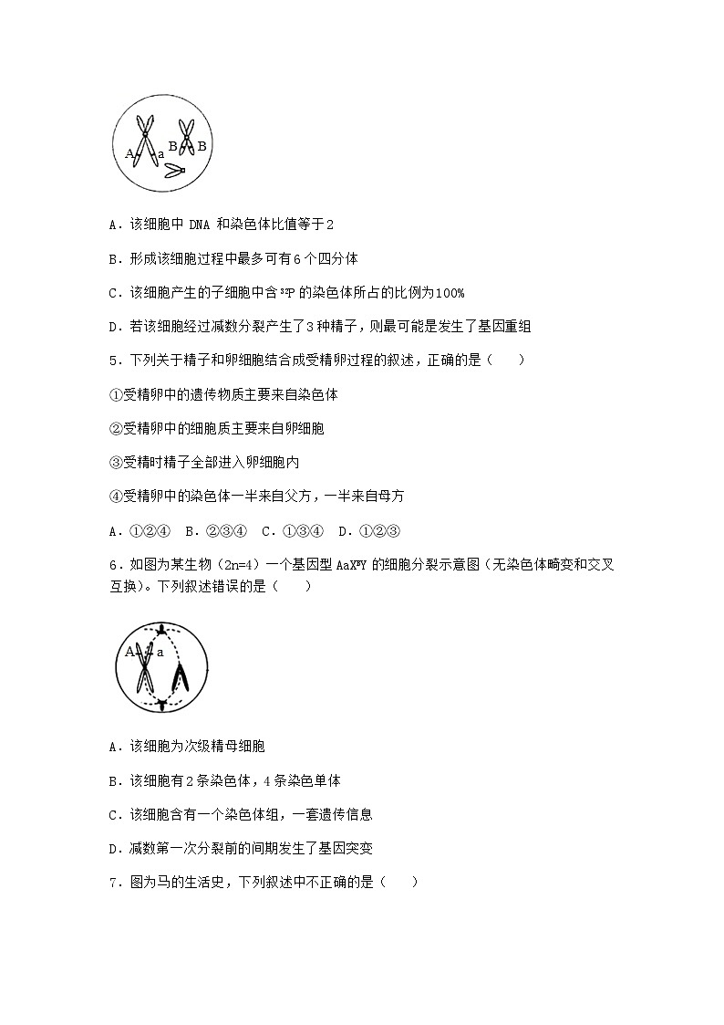 人教版高中生物必修2一减数分裂同步作业含答案102