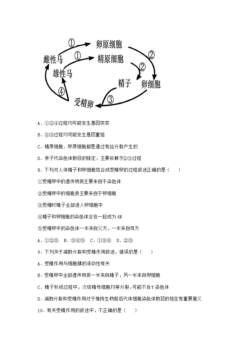 人教版高中生物必修2一减数分裂同步作业含答案103