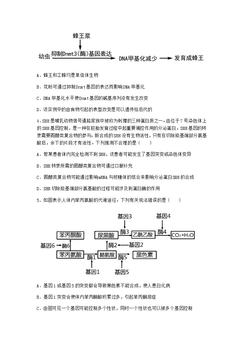 人教版高中生物必修2第2节基因表达与性状的关系同步作业含答案02