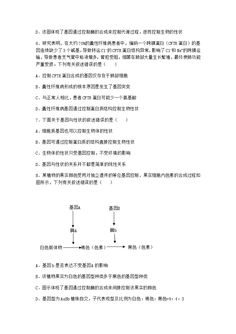 人教版高中生物必修2第2节基因表达与性状的关系同步作业含答案03