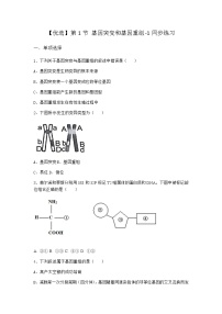 高中生物人教版 (2019)必修2《遗传与进化》第1节 基因突变和基因重组巩固练习