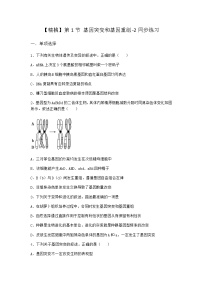 高中生物人教版 (2019)必修2《遗传与进化》第1节 基因突变和基因重组巩固练习