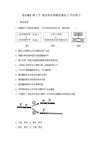 高中生物人教版 (2019)必修2《遗传与进化》第1节 基因突变和基因重组课堂检测