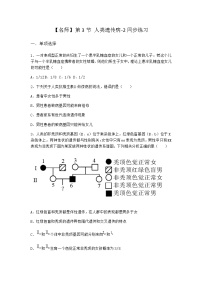 高中生物人教版 (2019)必修2《遗传与进化》第3节 人类遗传病精练