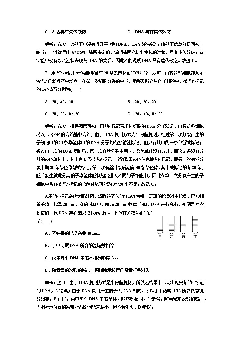 人教版高中生物必修二DNA的复制、基因通常是有遗传效应的DNA片段作业含答案第3页