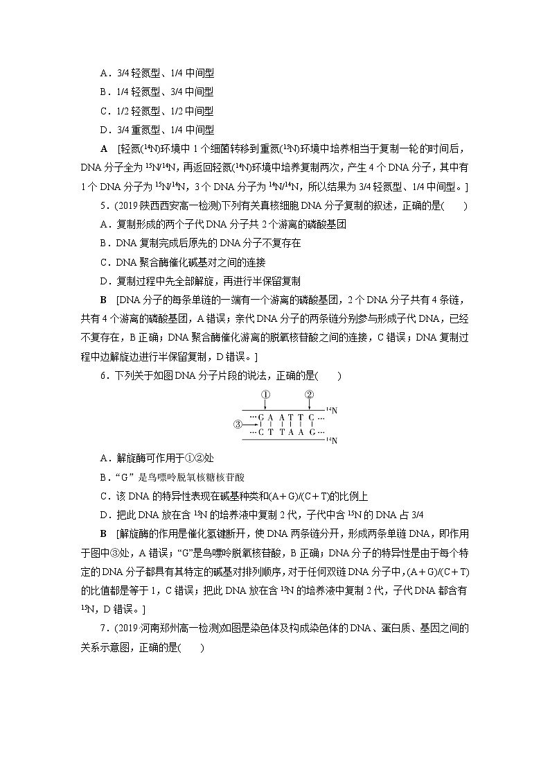 人教版高中生物必修二DNA的复制基因通常是有遗传效应的DNA片段作业含答案第2页